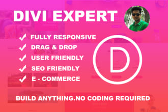build wordpress responsive website with divi theme