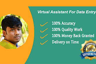 do correct data entry, web research and copy paste
