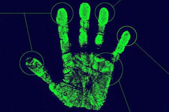 read your PALM and teach you how to read palms