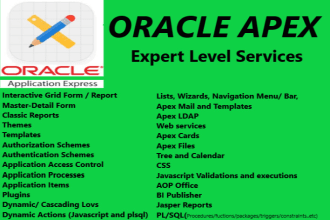 do expert level project in oracle apex with database design