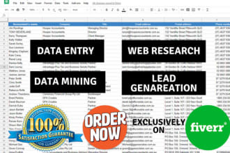 do data entry, data mining, web research for you