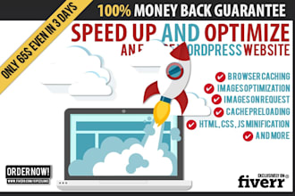 expertly optimize wordpress onpage SEO to rank higher