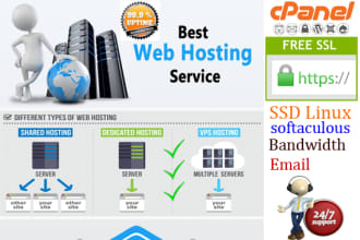 provide linux ssd web hosting in cheap price with free SSL