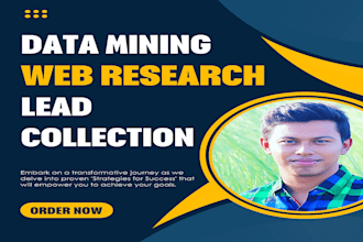 do data mining, web research and b2b contact gathering