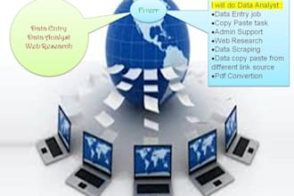 do all type of data entry with web research