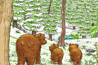 create illustration in digital