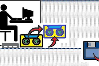 do data entry, data processing, analysis and virtual admin