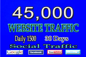 drive fast website  traffic,daily visitors