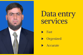 do data entry,data mining,data analysis,typing work