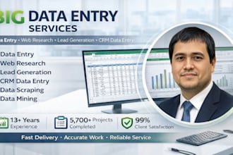 do big data entry and data analysis