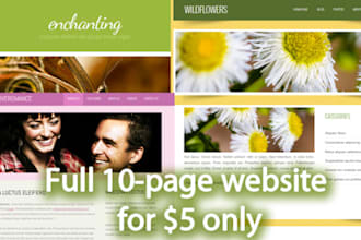 design a full 10 page website No hidden charges, No Multiple gigs   only
