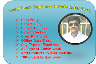do data entry and data analysis