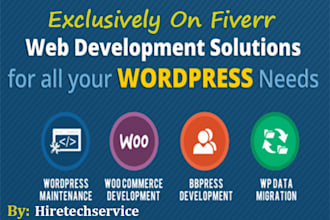 build fully optimized  wordpress website with custom features