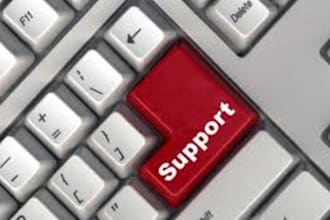 provide 30 minutes of remote technical support