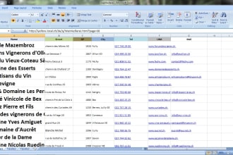 do data entry for you to copy web to excel and pdf to excel