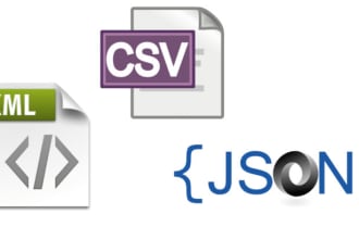 write script for processing json, excel and XML files