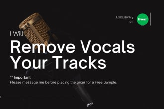 remove vocals from any song or link under 24 hours