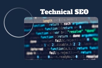 offer monthly SEO services for the website and gmb