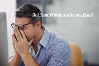 fix wordpress issues,theme and plugins update, customization