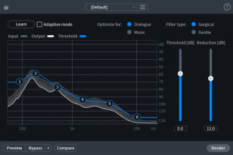 remove any types noise from your audio