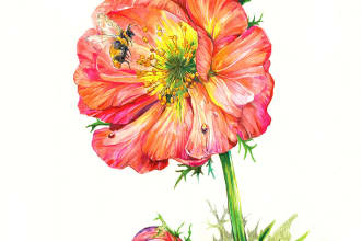 create a realistic botanical drawing