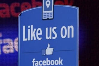 500+ Facebook Likes