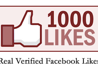 add 1000 real FACEBOOK Likes Only for Website