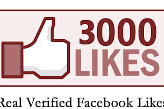 add 3000 real FACEBOOK Likes Only for Website