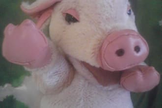 sweetly speak your video message
