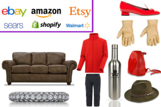 amazon, ebay, shopify, etsy, and walmart photo editing professionally