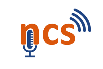 design a high quality podcast logo for your company within sort time