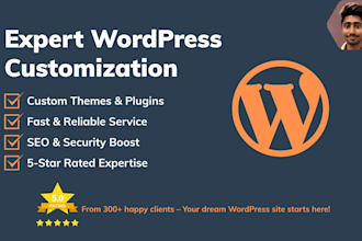 provide expert wordpress customization and bug fixes