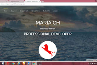 make an amazing website for you