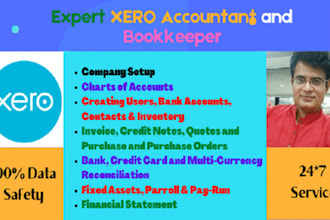 do xero accounting and bookkeeping for your business
