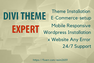 be your ultimate divi expert