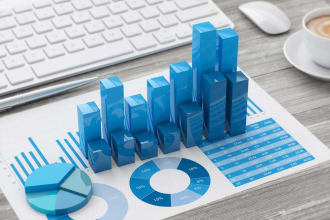 provide accounting, auditing and financial consultancy services