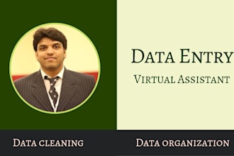 do big data entry  data scraping in microsoft excel
