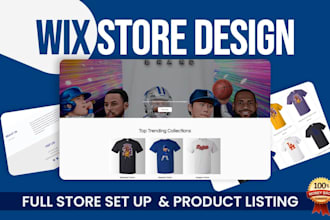 setup wix store, design and redesign wix ecommerce store