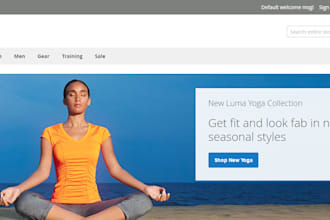 do magento 2 development and customization