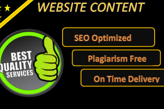 write your professional and SEO website content