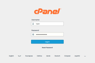 install cpanel or plesk on your vps or dedicated server