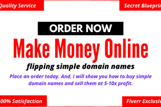 show you how to make money selling domains online