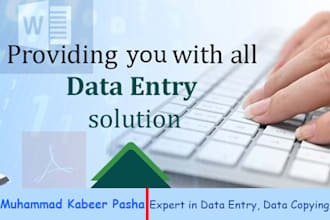 do word and excel data entry, data entry, PDF conversion