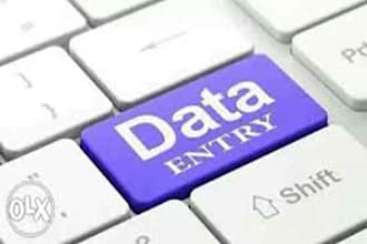data entry and data analysis