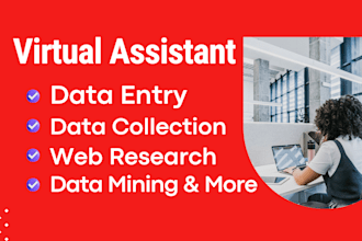 do data entry, data mining, web research, copy paste job