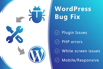 fix wordpress, php errors, issues and customization
