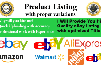 do ebay product listing service and title optimization