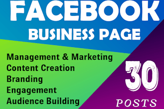 do professional facebook page management for 30 days