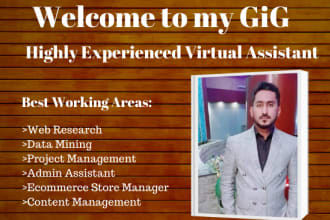 be your virtual assistant for data entry, web research, upload products