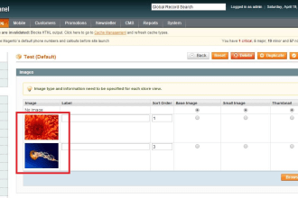 copy paste and data entry for your magento and woocommerce
